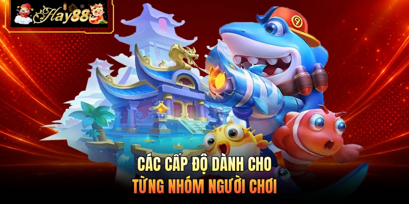 Các cấp độ dành cho từng nhóm người chơi