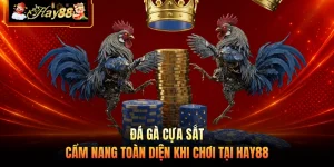 Đá Gà Cựa Sắt - Cẩm Nang Toàn Diện Khi Chơi Tại HAY88